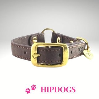 tQel – Mode & Accessoires voor Teckels tQel halsband Café nobuck