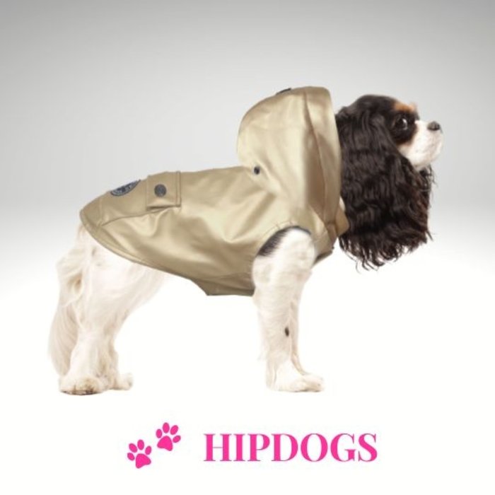 Milk & Pepper Milk & Pepper Babord honden regenjas Dore goud