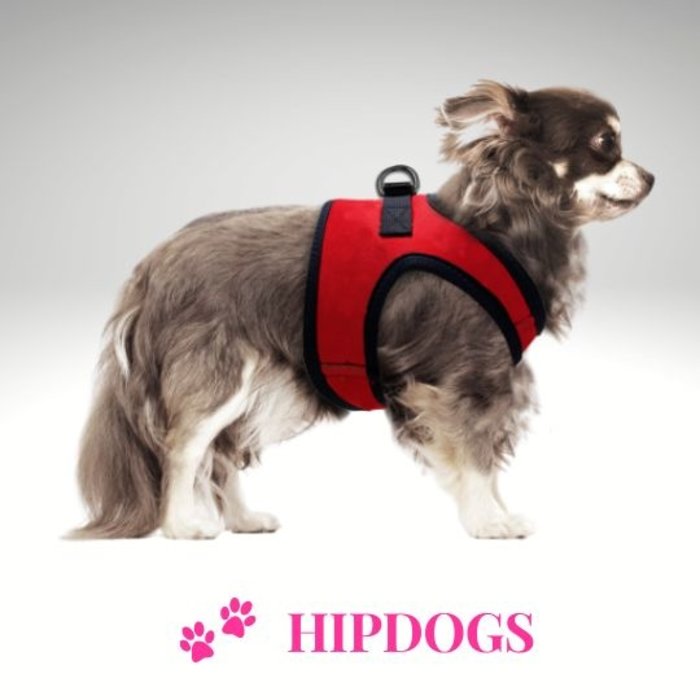 Milk & Pepper Milk & Pepper hondenharnas Erwan Rouge