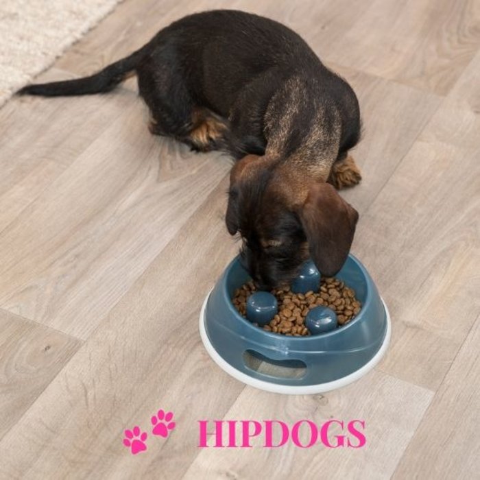 Trixie Trixie Slow Feeding voerbak - Anti schrok