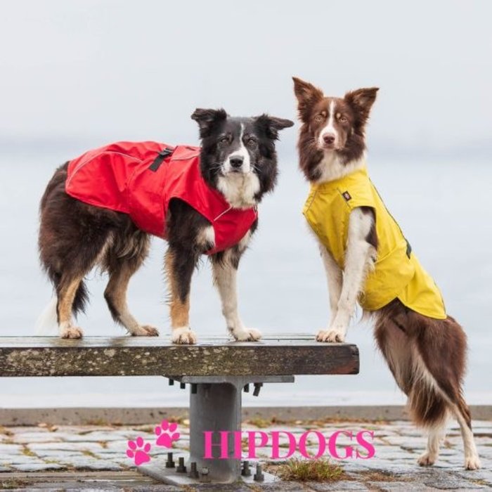 Trixie Trixie Honden regenjas Vimy rood