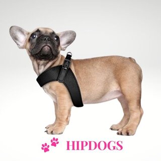 Milk & Pepper Milk & Pepper honden harnas zwart