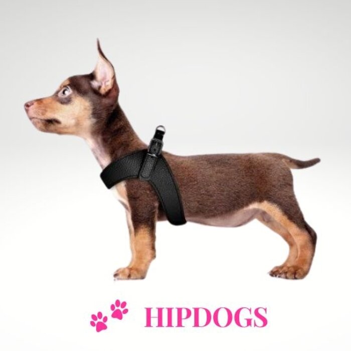 Milk & Pepper Milk & Pepper honden harnas zwart