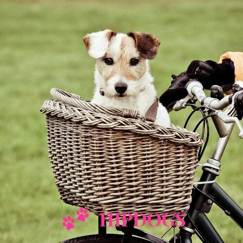 Honden fietsmand