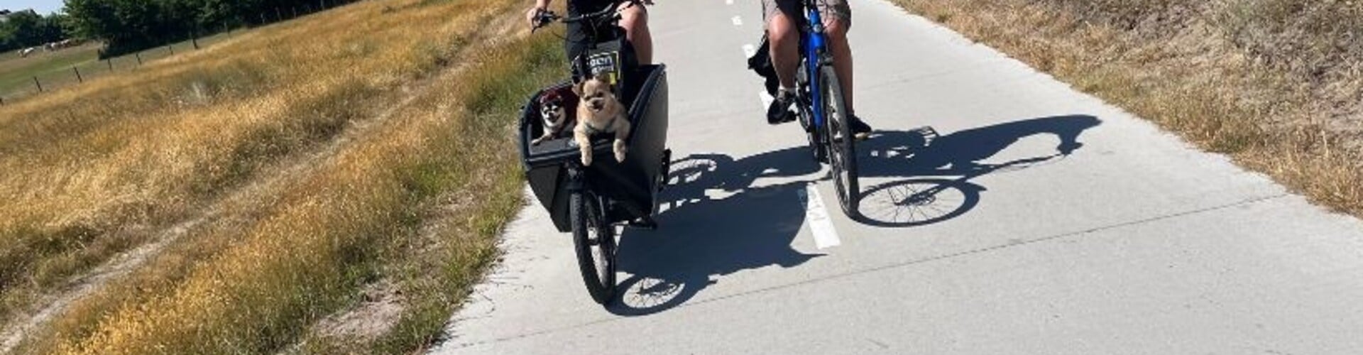 Je hond meenemen op de fiets