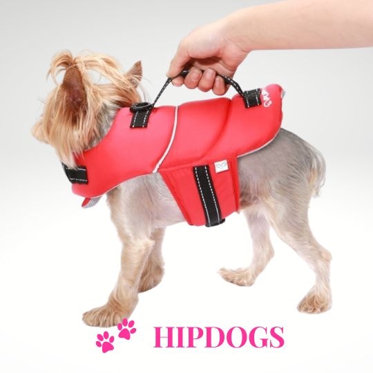 Puppy Angel Puppy Angel Honden zwemvest Neon Life Vest red