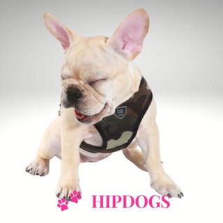 Puppy Angel Puppy Angel Honden harnas Du Angione Military