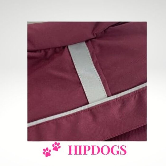 tQel – Mode & Accessoires voor Teckels tQel raincoat TinTin wine