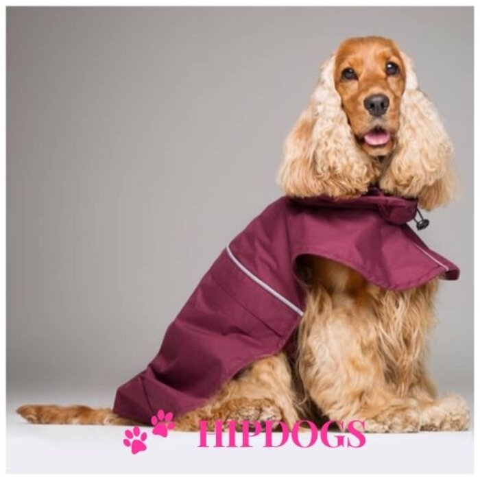 tQel – Mode & Accessoires voor Teckels tQel raincoat TinTin wine