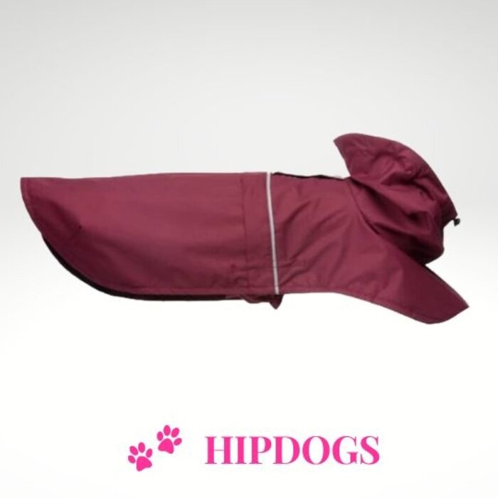 tQel – Mode & Accessoires voor Teckels tQel raincoat TinTin wine