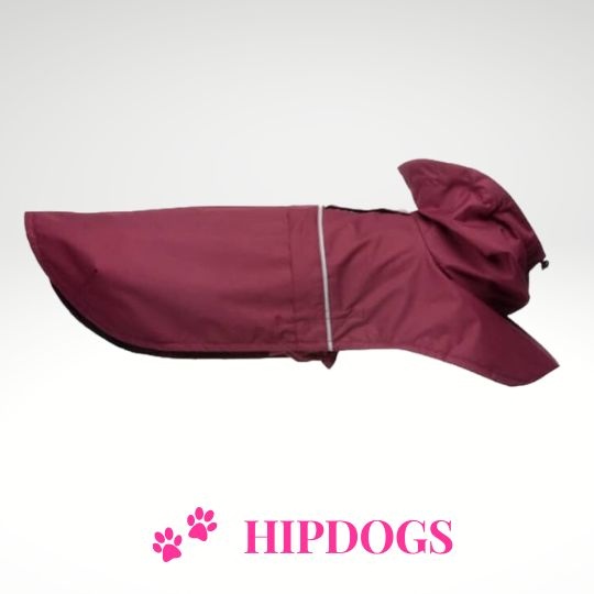 tQel – Mode & Accessoires voor Teckels tQel raincoat TinTin wine