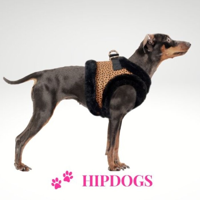 Milk & Pepper Milk & Pepper winter harnas hond Katoun Panter/Zwart