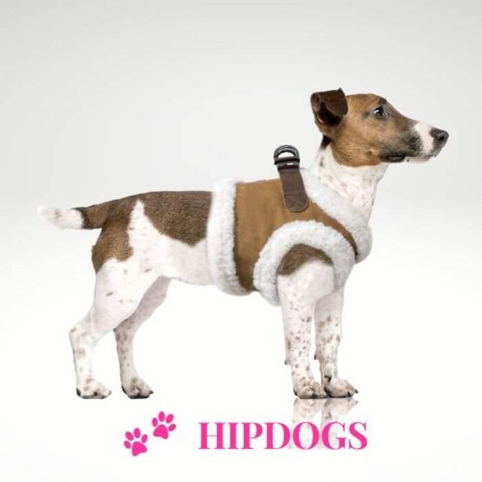 Milk & Pepper Milk & Pepper winter harnas hond Declan Camel