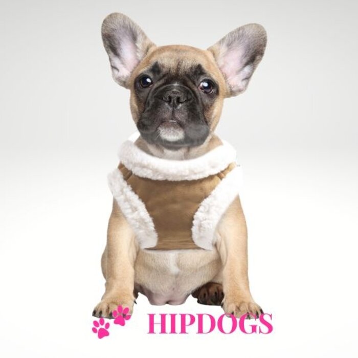 Milk & Pepper Milk & Pepper winter harnas hond Declan Camel