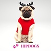 Milk & Pepper honden Kerst sweater Renne