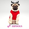 Milk & Pepper Milk & Pepper Rode honden Kerst sweater Renne