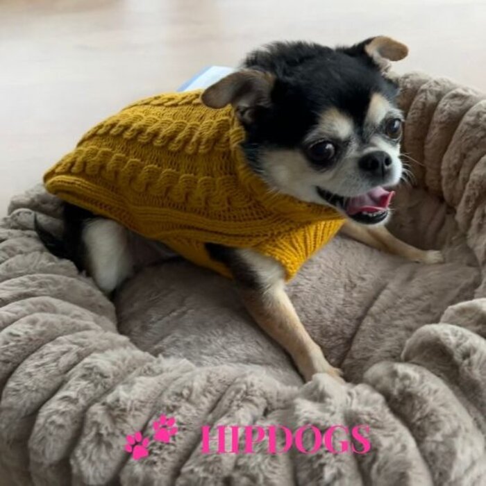 51 Degrees North 51 Degrees North hondentrui Cosy Funky Yellow