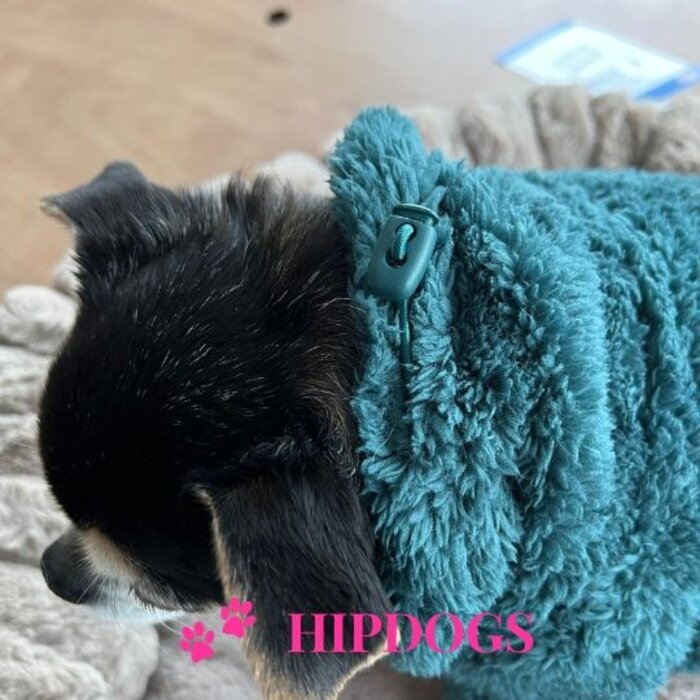 51 Degrees North 51 Degrees North hondentrui Turtleneck Teddy Petrol