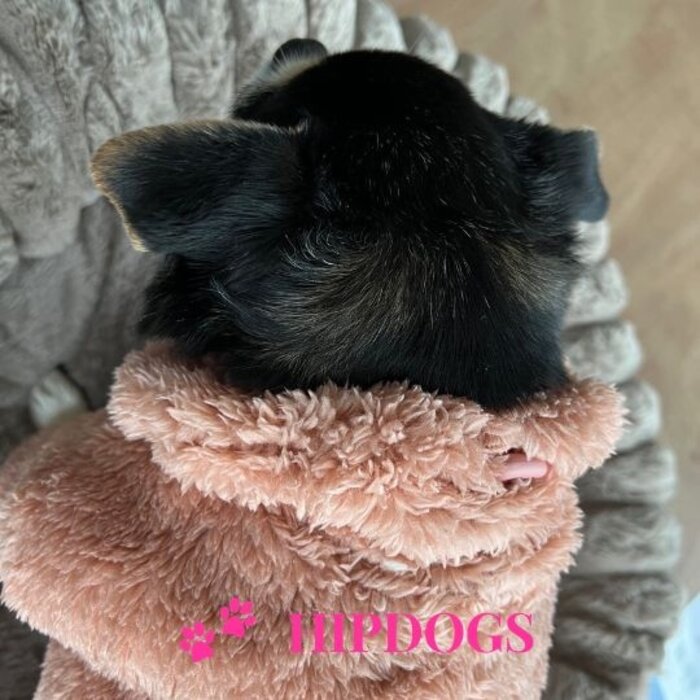 51 Degrees North 51 Degrees North hondentrui Turtleneck Teddy Pink