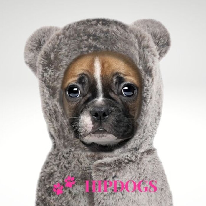 Milk & Pepper Milk & Pepper  Honden sweater Oskar Grijs