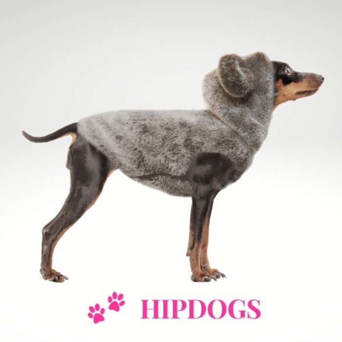 Milk & Pepper Milk & Pepper  Honden sweater Oskar Grijs