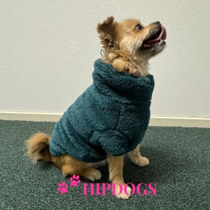 51 Degrees North 51 Degrees North hondentrui Turtleneck Teddy Petrol