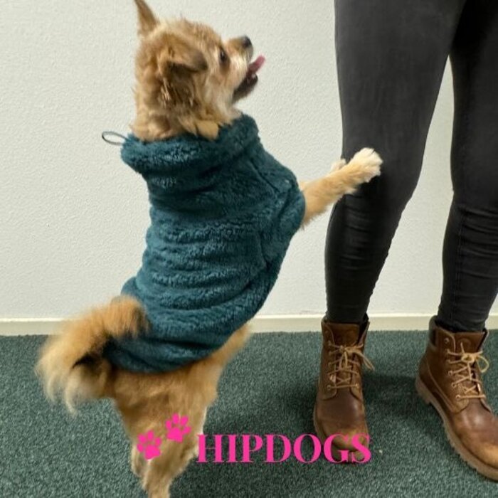 51 Degrees North 51 Degrees North hondentrui Turtleneck Teddy Petrol