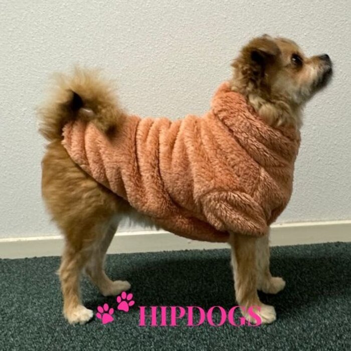 51 Degrees North 51 Degrees North hondentrui Turtleneck Teddy Pink