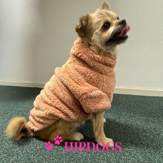 51 Degrees North 51 Degrees North hondentrui Turtleneck Teddy Pink