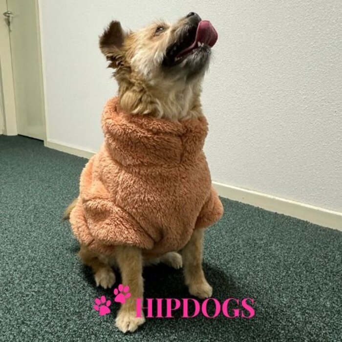 51 Degrees North 51 Degrees North hondentrui Turtleneck Teddy Pink