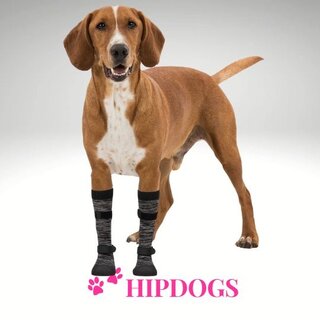 Trixie Trixie Poot-Bescherming Walker Socks