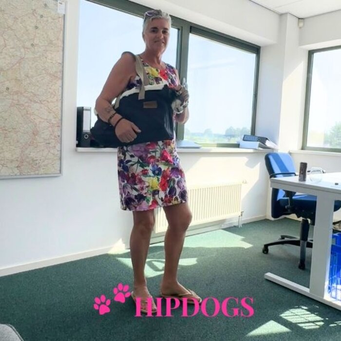 tQel – Mode & Accessoires voor Teckels tQel hondentas Denver Blue