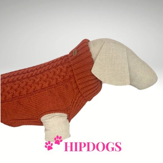 tQel – Mode & Accessoires voor Teckels tQel Teckeltrui Freddy Terra