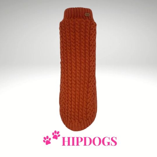 tQel – Mode & Accessoires voor Teckels tQel Teckeltrui Freddy Terra