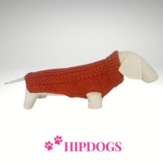 tQel – Mode & Accessoires voor Teckels tQel Teckeltrui Freddy Terra