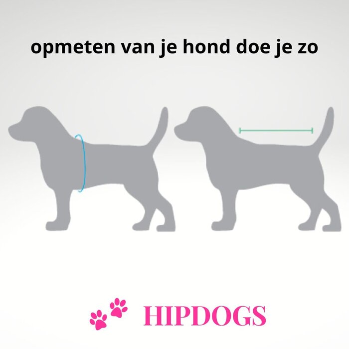 51 Degrees North 51 Degrees North hondentrui Latte Light Grey