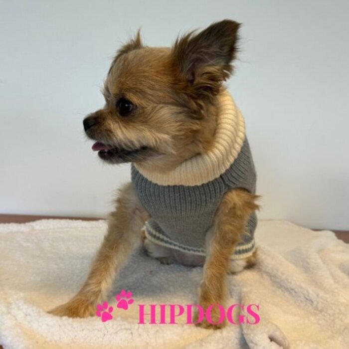 51 Degrees North 51 Degrees North hondentrui Latte Light Grey