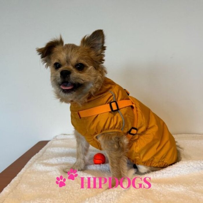 51 Degrees North 51 Degrees North hondenjas Adventure Harness Geel