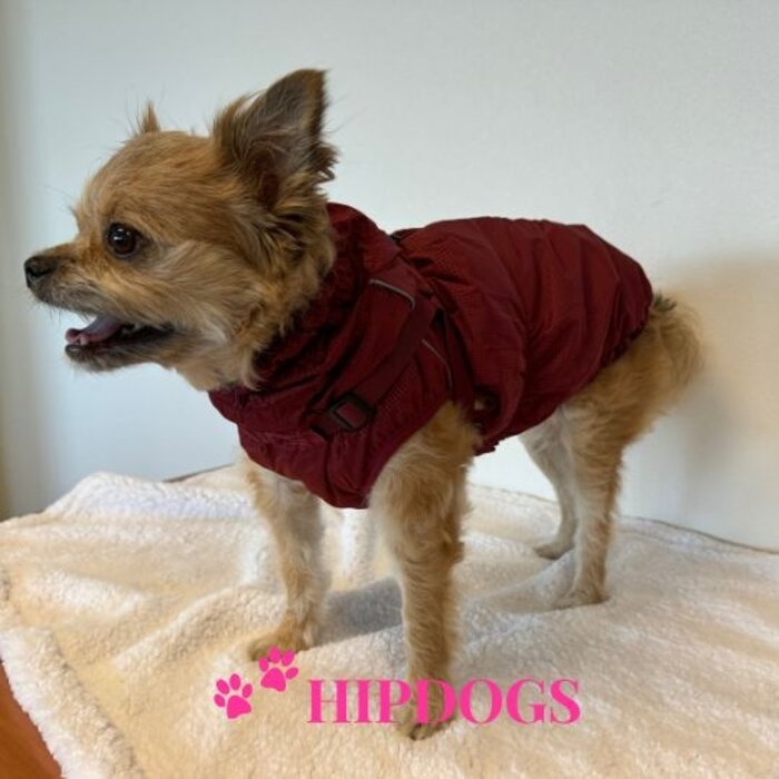 51 Degrees North 51 Degrees North hondenjas Adventure Harness Burgundy