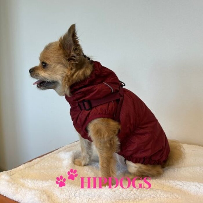 51 Degrees North 51 Degrees North hondenjas Adventure Harness Burgundy