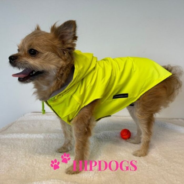 51 Degrees North 51 Degrees North hondenjas Reflective hoodie