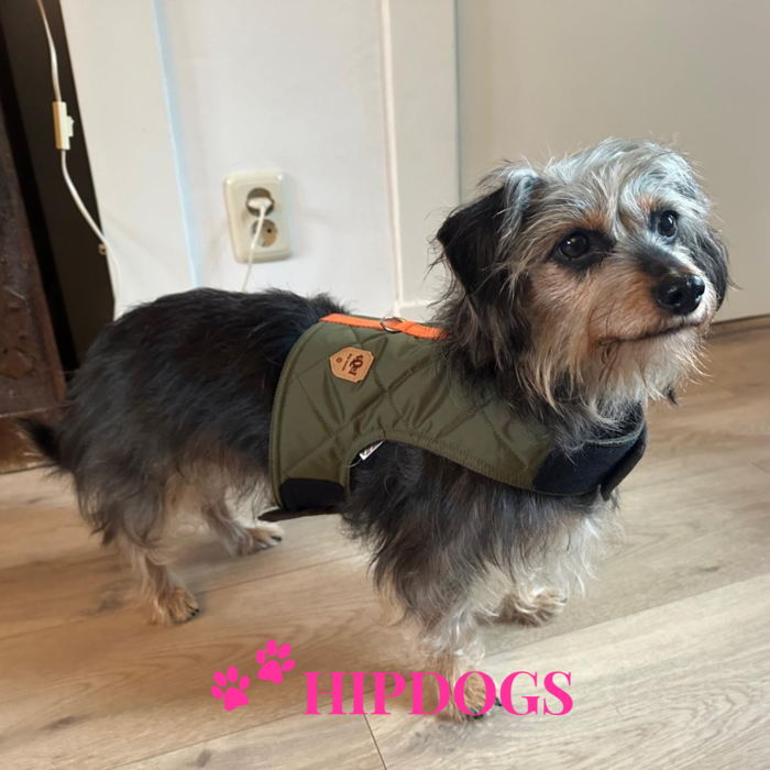 tQel – Mode & Accessoires voor Teckels tQel Quilted Greenteckel harnas