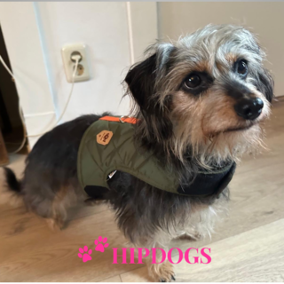 tQel – Mode & Accessoires voor Teckels tQel Quilted Green honden harnas