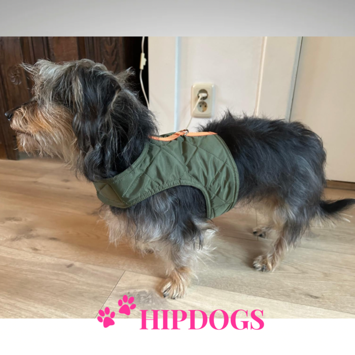 tQel – Mode & Accessoires voor Teckels tQel Quilted Greenteckel harnas