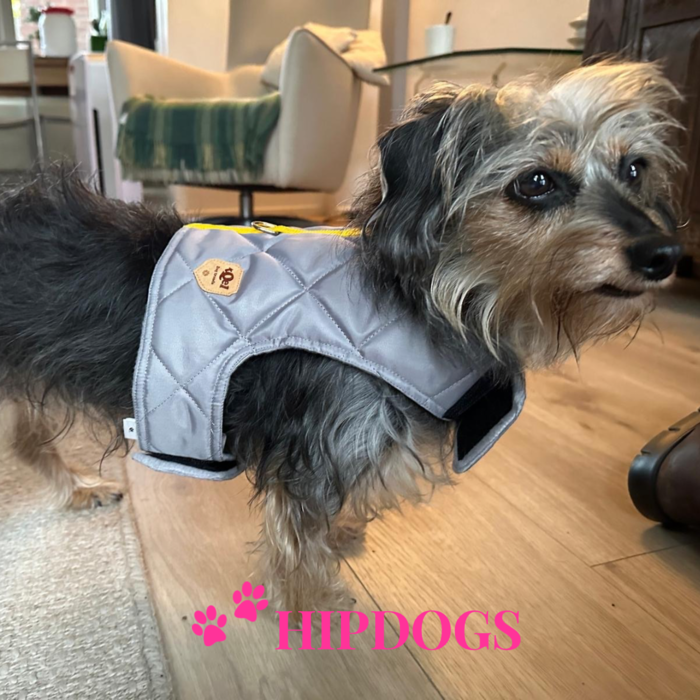 tQel – Mode & Accessoires voor Teckels tQel Quilted Grey teckel harnas