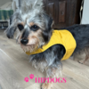 tQel – Mode & Accessoires voor Teckels tQel Quilted Mustard honden harnas