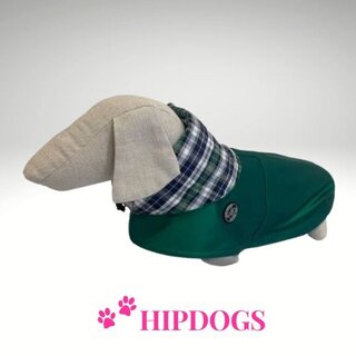 tQel – Mode & Accessoires voor Teckels tQel honden regenjas TinTin Shine Green