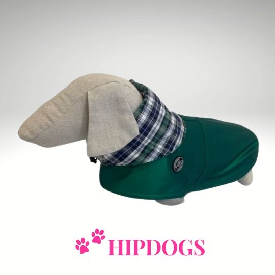 tQel – Mode & Accessoires voor Teckels tQel raincoat TinTin Shine Green