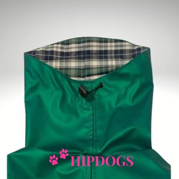 tQel – Mode & Accessoires voor Teckels tQel raincoat TinTin Shine Green
