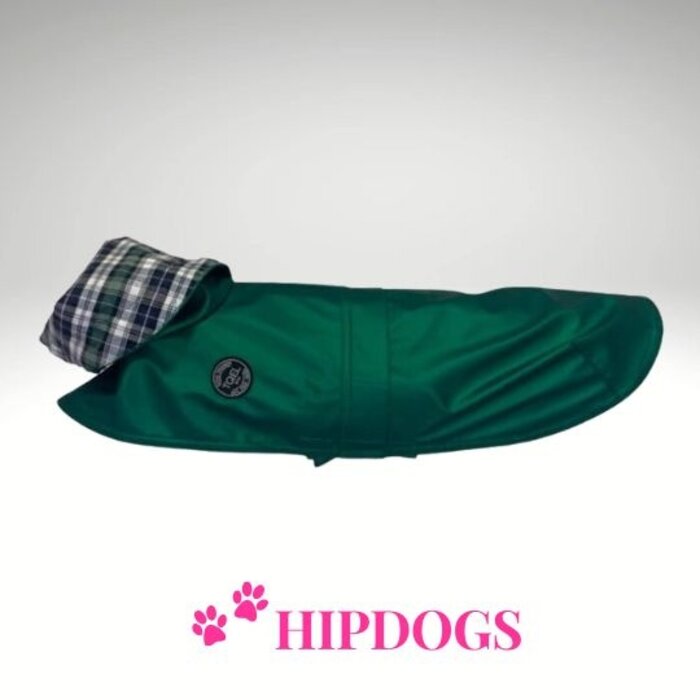 tQel – Mode & Accessoires voor Teckels tQel raincoat TinTin Shine Green